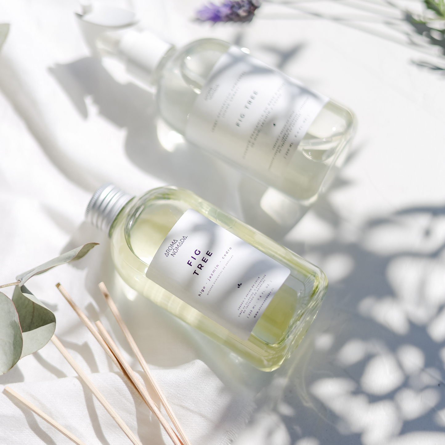 PACK FIG TREE  | HOME SPRAY + DIFUSOR VARITAS