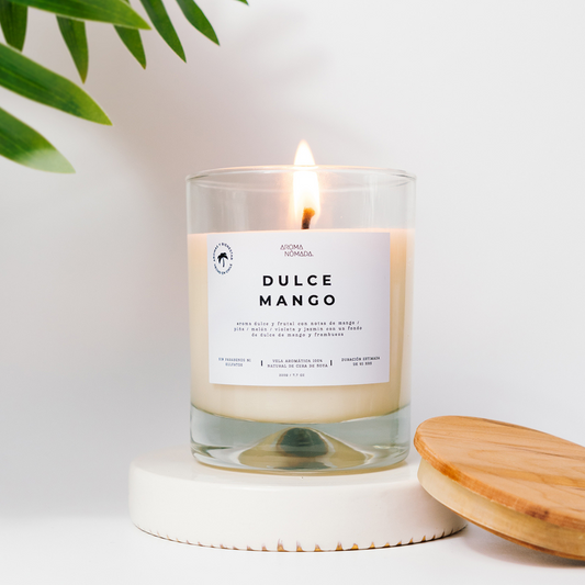 DULCE MANGO   |VELA AROMÁTICA DE CERA DE SOYA 220 g